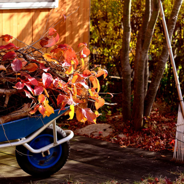 Gartenarbeit im Herbst