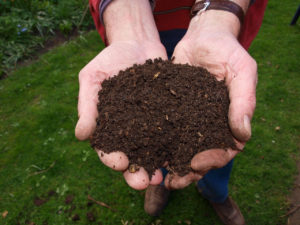 Kompost - Erde in der Hand